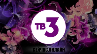 ТВ-3 — онлайн трансляция 📺 Прямо сейчас смотреть онлайн