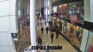Онлайн трансляция в Торговой галерее