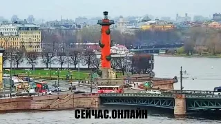 Управляемая веб-камера на Адмиралтейской набережной в Санкт-Петербурге 📺 Прямо сейчас смотреть онлайн