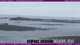 Станция «Casey» в Антарктиде 📺 Прямо сейчас смотреть онлайн