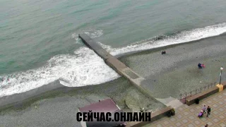 Адлер онлайн трансляция Чайка, смотреть онлайн в реальном времени