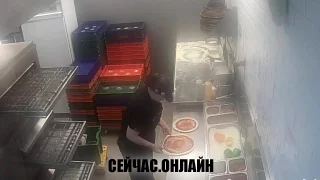 Онлайн трансляция «Додо Пицца» в Тольятти
