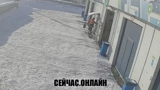 Онлайн трансляция на автомойке «Эко» в Мурманске