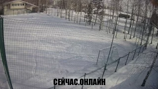 Онлайн трансляция с видом на футбольное поле, спортивная деревня «Новинки»