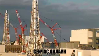 Веб-камера японской АЭС «Фукусима-1» 📺 Прямо сейчас смотреть онлайн