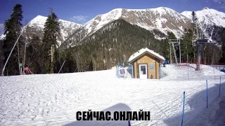 Веб-камера «приют Пихтовый» 📺 Прямо сейчас смотреть онлайн