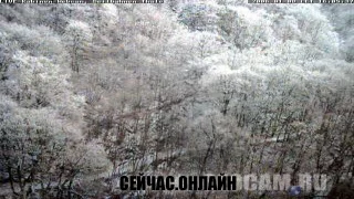 Канатная дорога в городе Тале 📺 Прямо сейчас смотреть онлайн