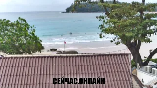 Онлайн трансляция с видом на пляж Ката, Пхукет, Таиланд