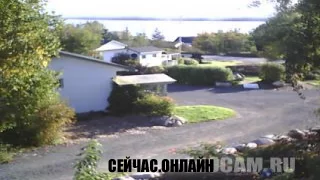 Веб-камера на острове Ньюфаундленд 📺 Прямо сейчас смотреть онлайн