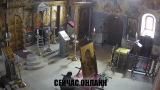 Онлайн трансляция в Михаило-Архангельском храме, село Михайловская Слобода