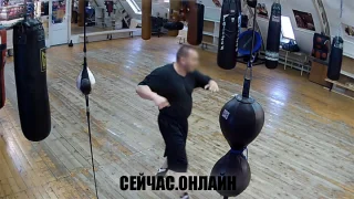 Веб-камера в школе бокса Александра Морозова 📺 Прямо сейчас смотреть онлайн