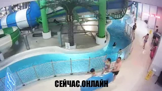 Веб-камера аквапарка «Аквамир»: Медленная река 📺 Прямо сейчас смотреть онлайн