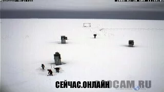 Антарктическая веб-камера 📺 Прямо сейчас смотреть онлайн