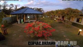 Веб-камера отеля Lotus Lodge 📺 Прямо сейчас смотреть онлайн