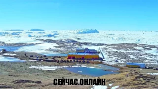 Веб-камера российской антарктической станции «Прогресс» 📺 Прямо сейчас смотреть онлайн