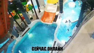 Веб-камера аквапарка «Аквамир»: Семейная горка 📺 Прямо сейчас смотреть онлайн