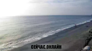 Пляж пансионата «Шексна»