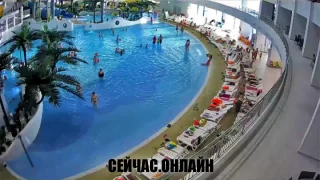Онлайн веб-камера аквапарка «Аквамир»: волновой бассейн 📺 Прямо сейчас смотреть онлайн