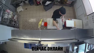 Веб-камера в суши-баре «Япоки» на улице Пушкина, Курган 📺 Прямо сейчас смотреть онлайн