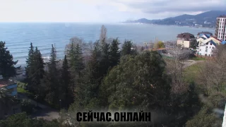 Веб-камера санатория «Знание» в Адлере 📺 Прямо сейчас смотреть онлайн